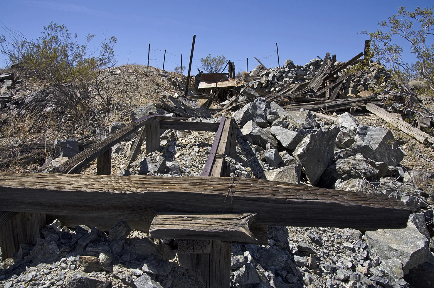 Mymine - Joshua Tree NP 10.jpg