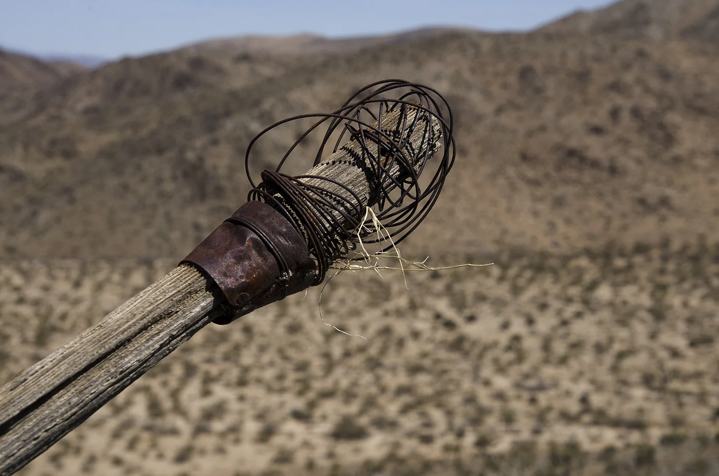 Mymine - Joshua Tree NP 16.jpg