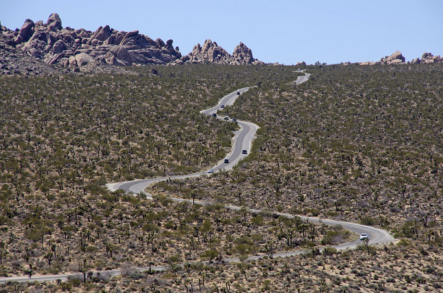 Mymine - Joshua Tree NP 21.jpg