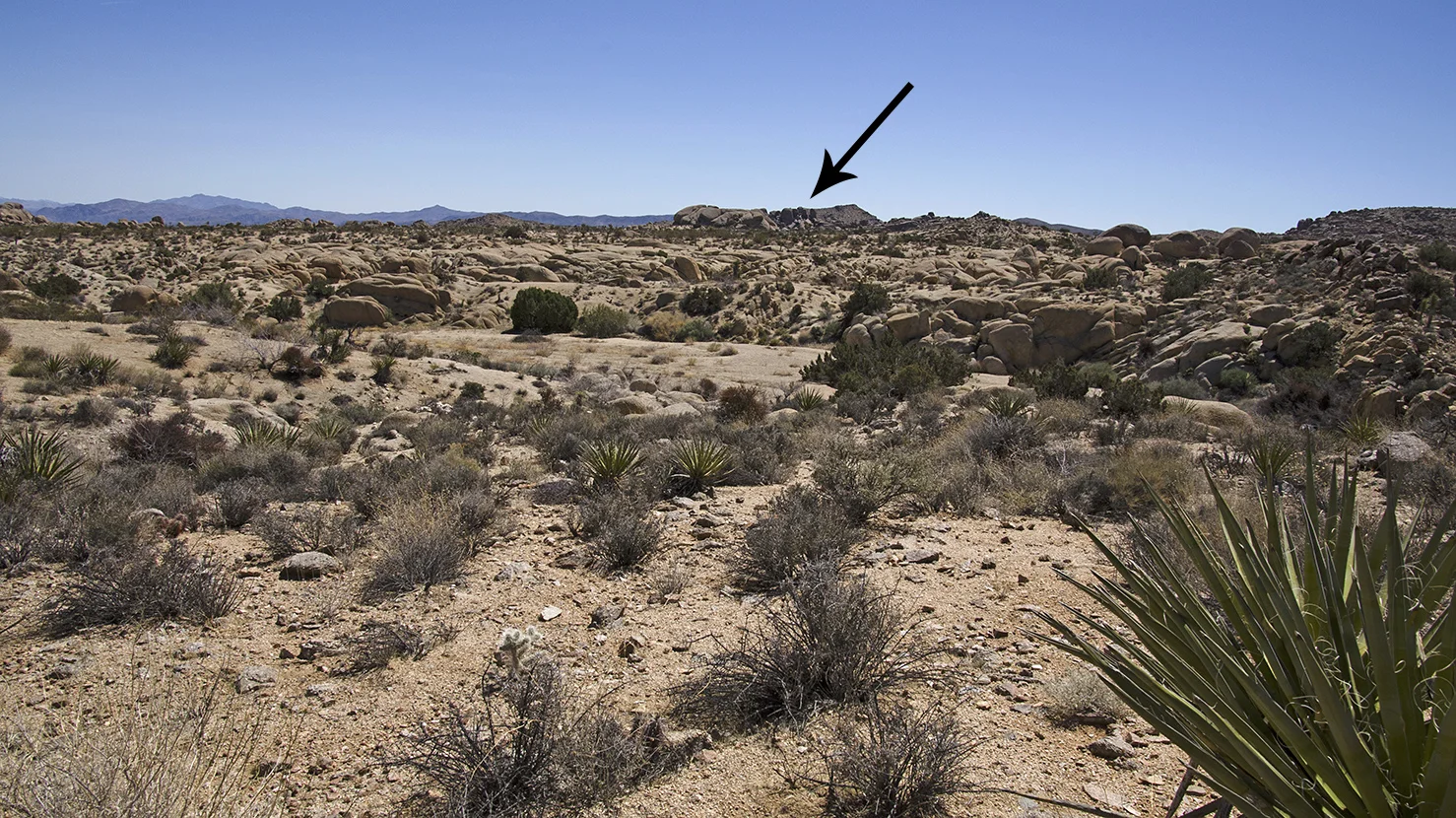Henhouse - Joshua Tree NP 01.jpg