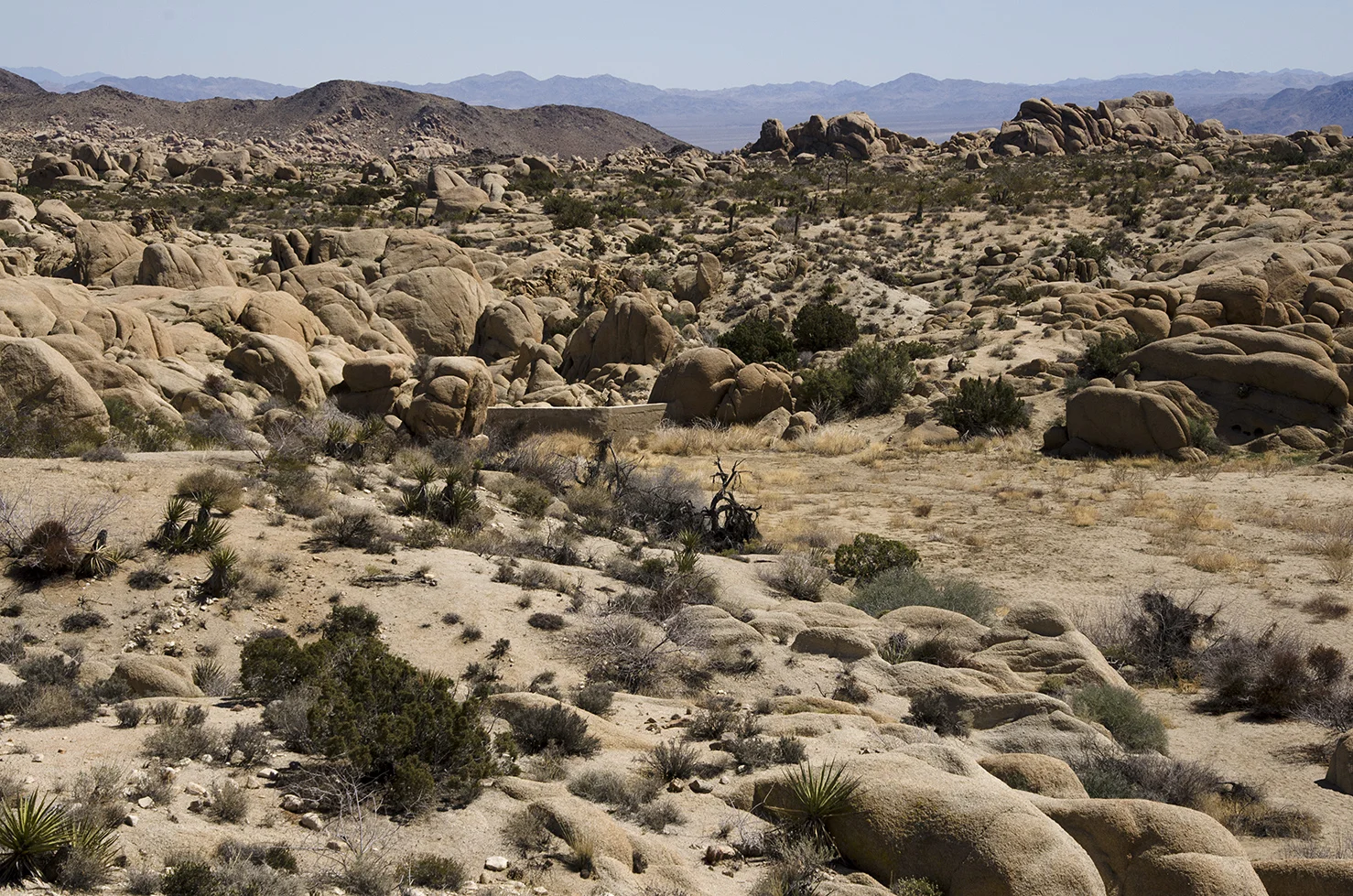 Henhouse - Joshua Tree NP 02.jpg