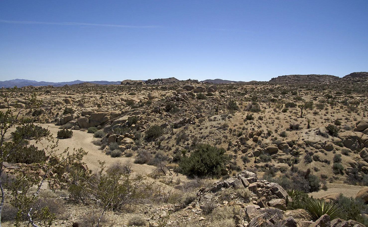 Henhouse - Joshua Tree NP 05.jpg