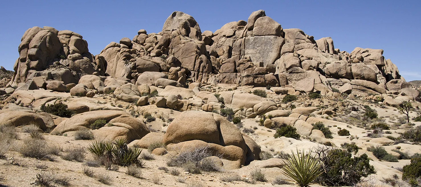 Henhouse - Joshua Tree NP 06.jpg