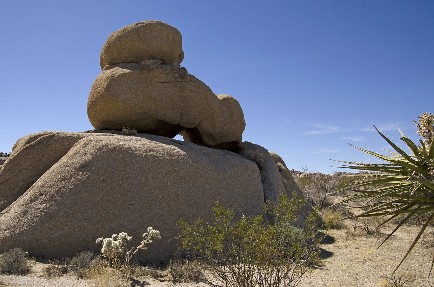 Henhouse - Joshua Tree NP 11.jpg