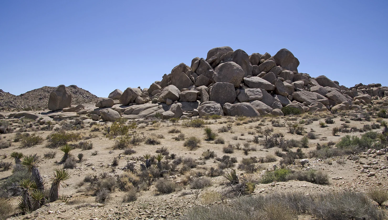 Henhouse - Joshua Tree NP 14.jpg
