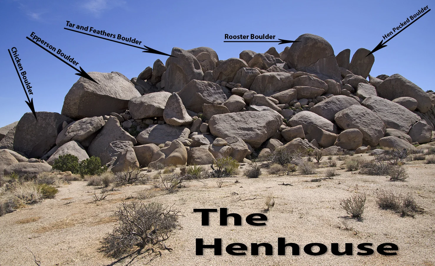 Henhouse - Joshua Tree NP 15.jpg