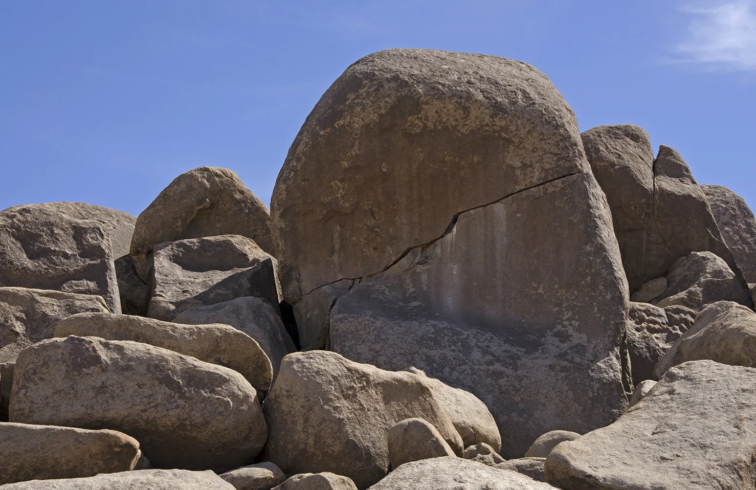 Henhouse - Joshua Tree NP 18.jpg