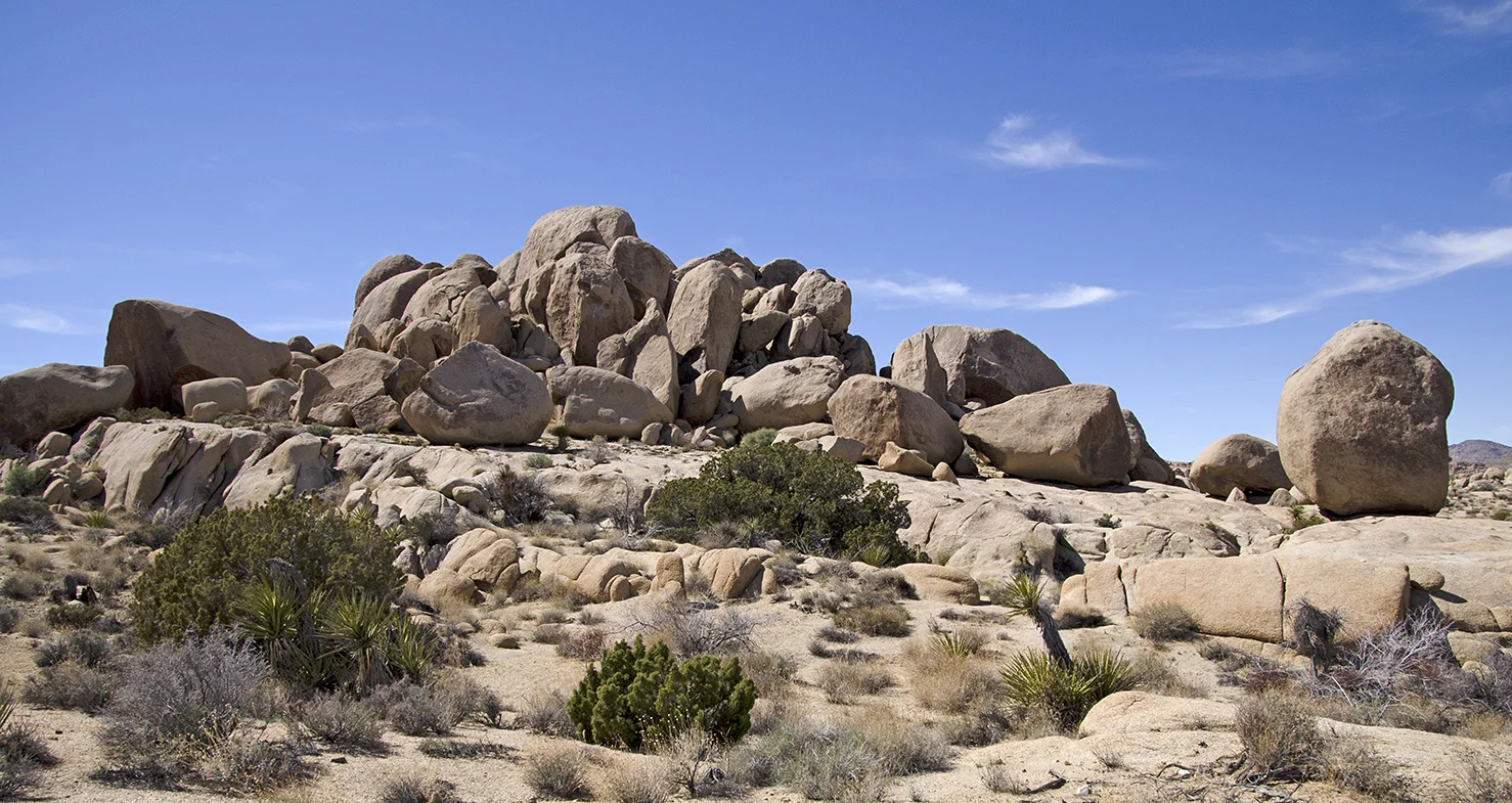 Henhouse - Joshua Tree NP 19.jpg