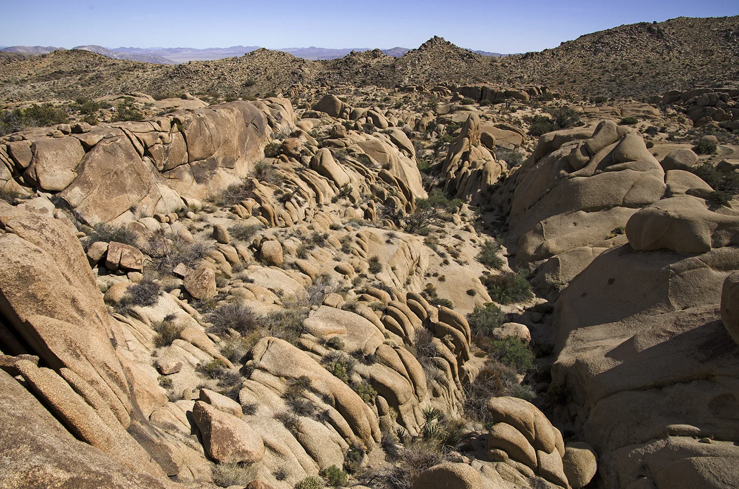 Henhouse - Joshua Tree NP 21 Chicken Run Canyon.jpg