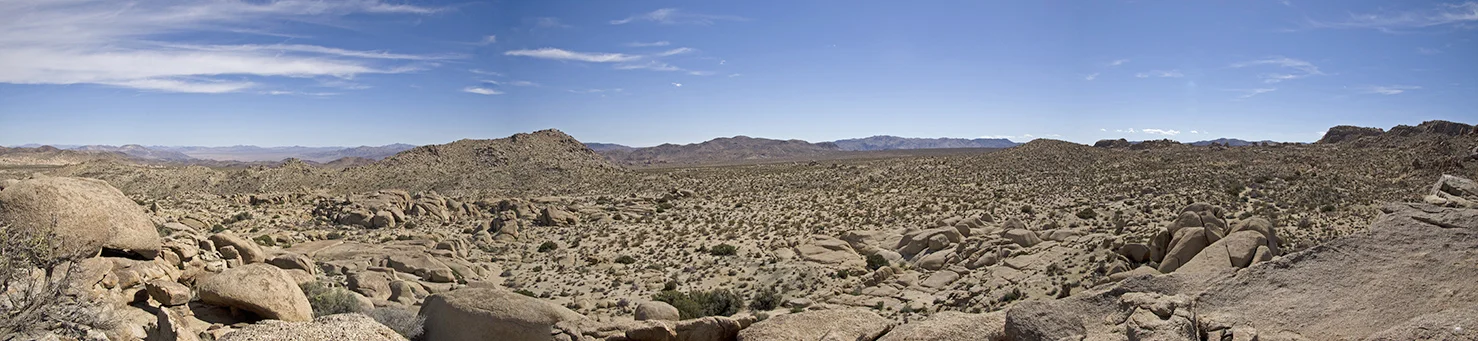 Henhouse - Joshua Tree NP 23 Pano Small.jpg