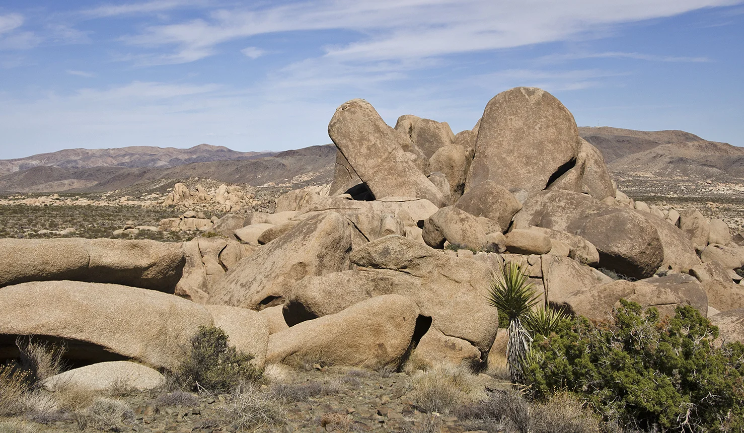 Henhouse - Joshua Tree NP 26.jpg
