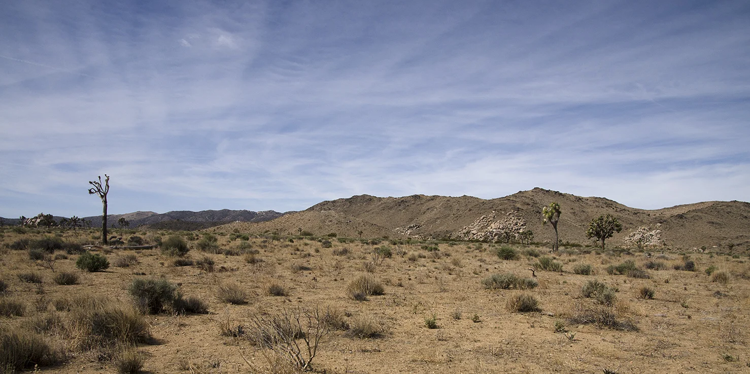 Lost Horse Valley Joshua Tree NP 001.jpg
