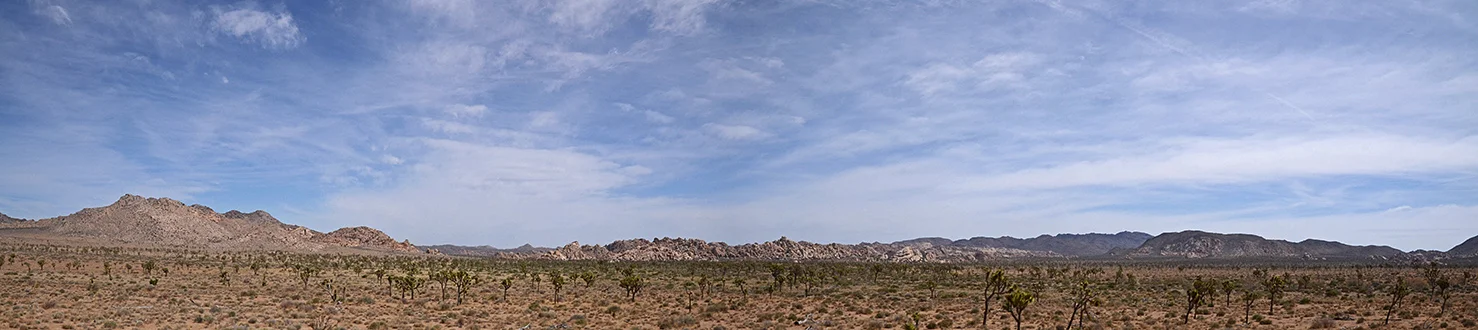 Lost Horse Valley Joshua Tree NP 006 pano.jpg
