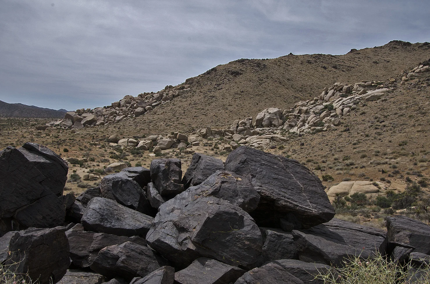 Lost Horse Valley Joshua Tree NP 016.jpg