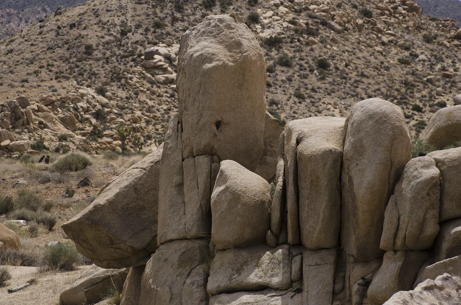 Lost Horse Valley Joshua Tree NP 019.jpg