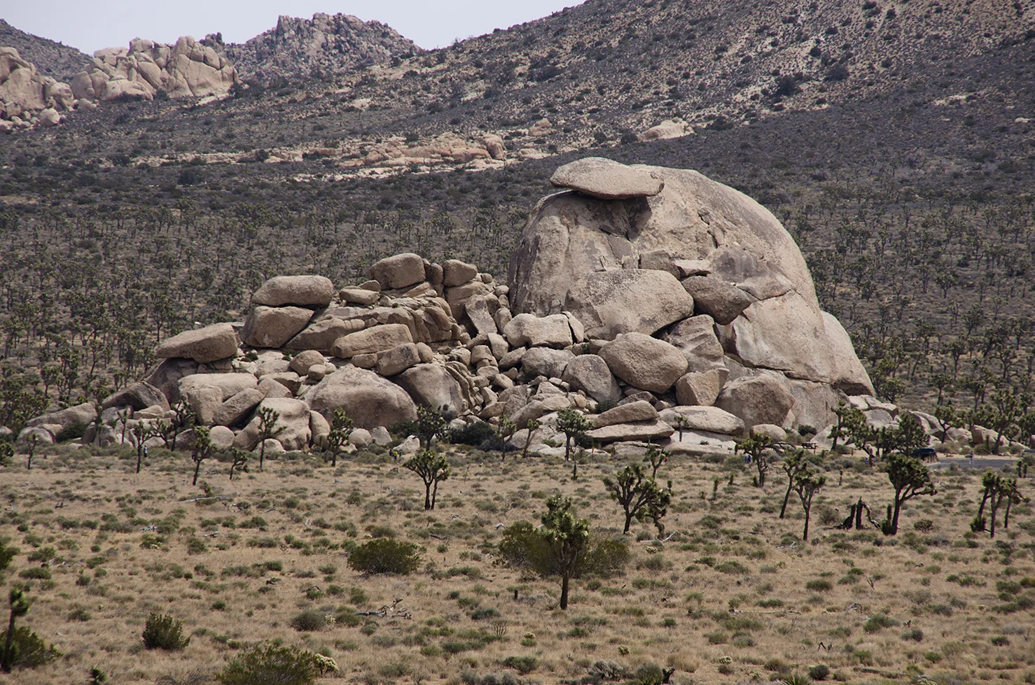 Lost Horse Valley Joshua Tree NP 021.jpg