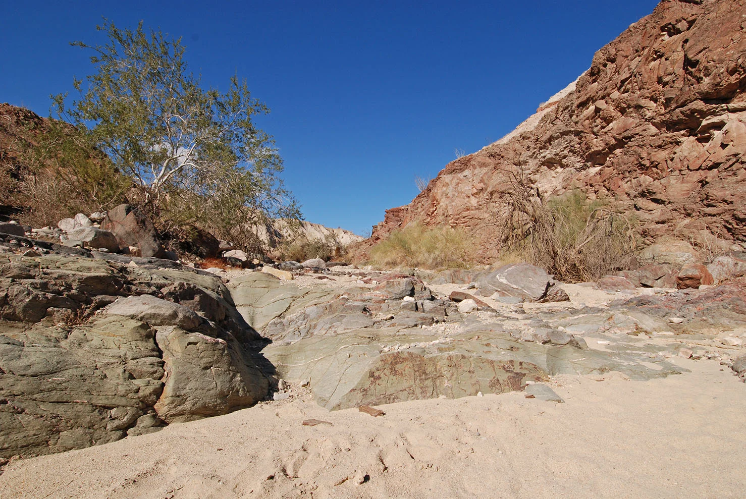 Ladder Canyon 07.jpg