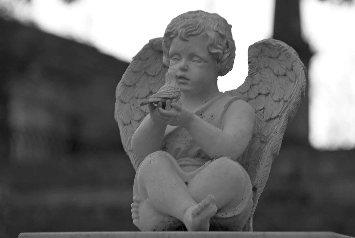 Altaville Protestant Cemetery Angel.jpg