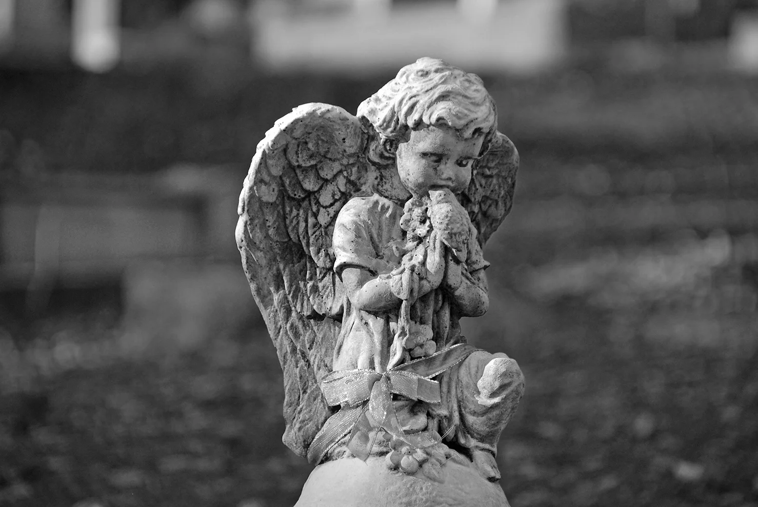 Sutter Creek City Cemetery Angel.jpg