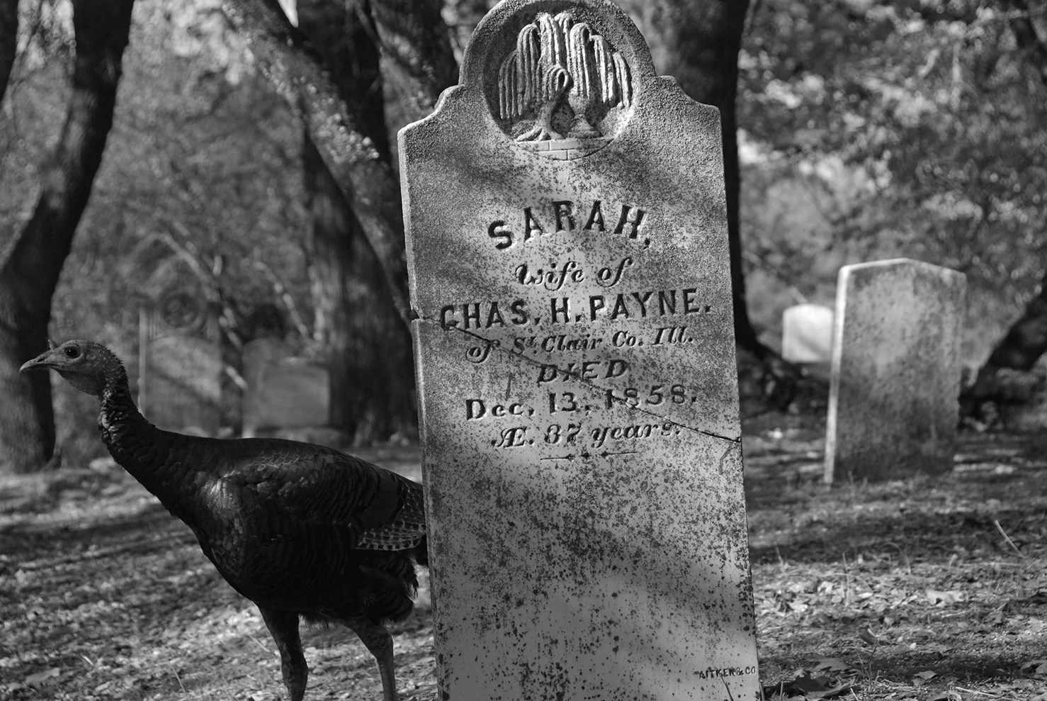 Sutters Mill Cemetery Sarah.jpg