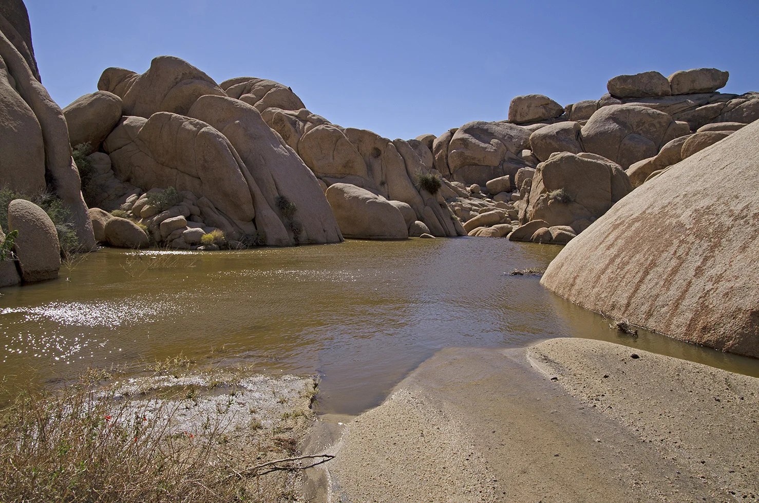 White Tank Area - Grand Tank Lake - Joahua Tree National Park.jpg