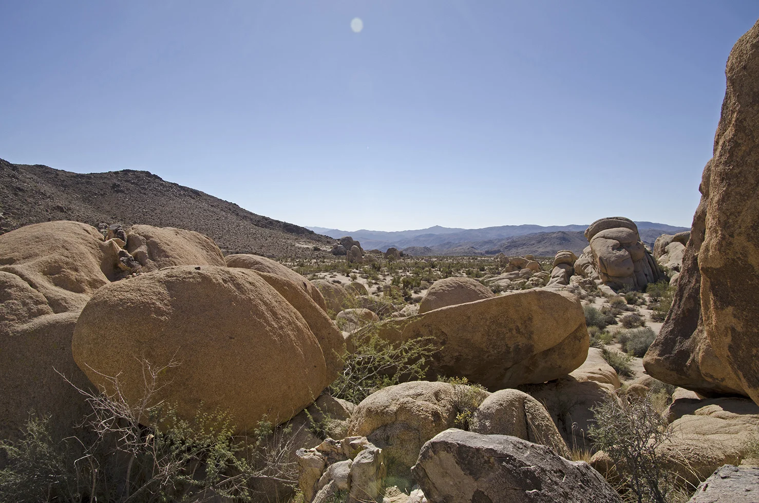 White Tank Area - Joahua Tree National Park 01.jpg