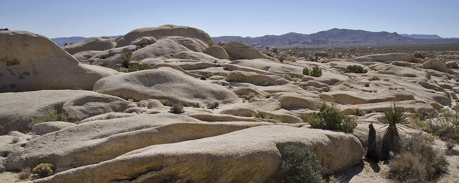 White Tank Area - Joahua Tree National Park - Ocean of Rock.jpg