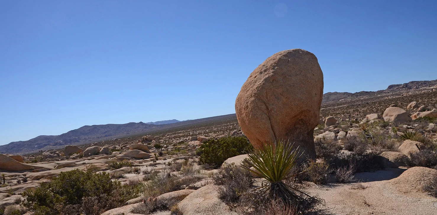White Tank Area - Joahua Tree National Park - The Beacon.jpg