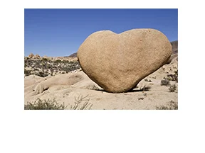 Where I Went - Joshua Tree National Park