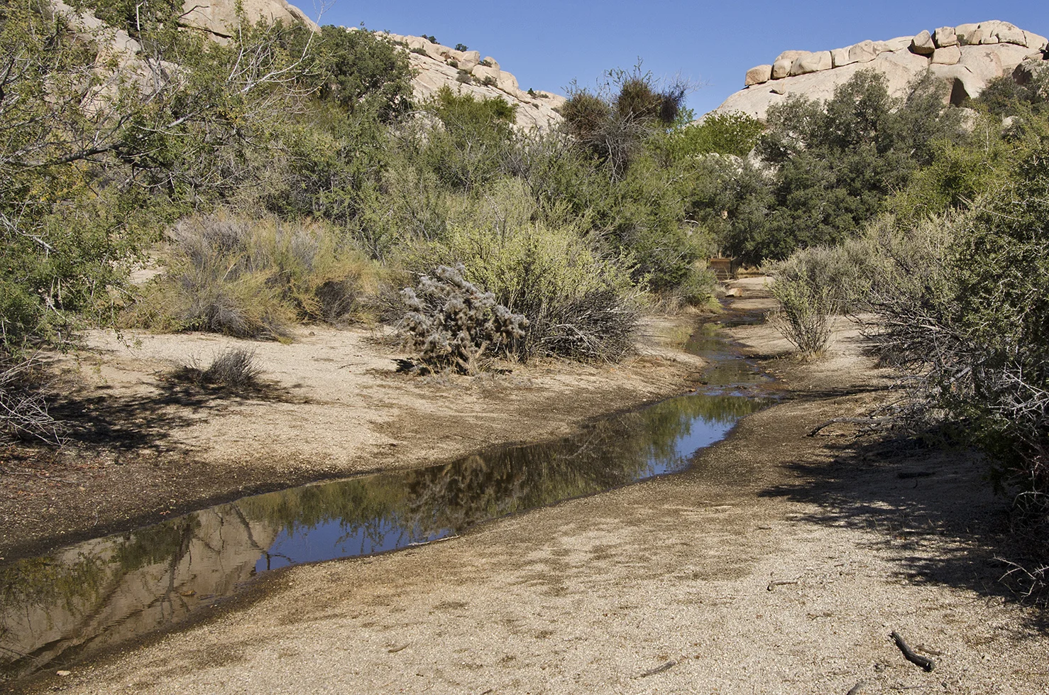 Joshua Tree National Park - A River Runs Through It - Barker Dam.jpg