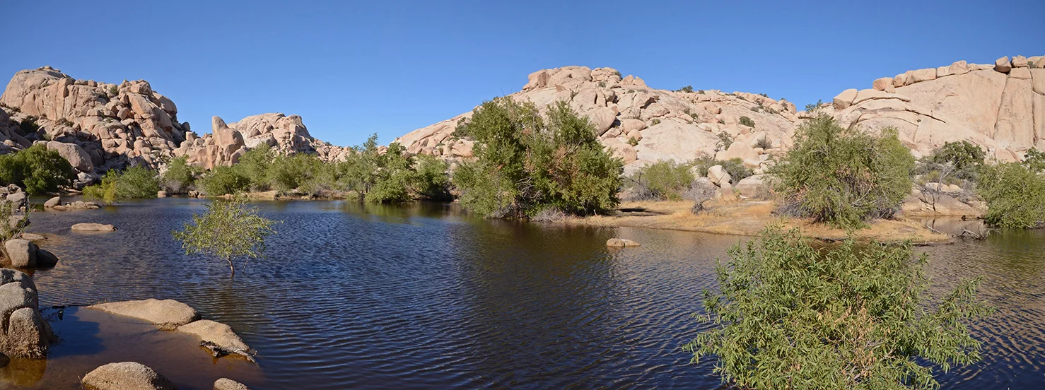 Joshua Tree National Park - Barker Dam Pano Small 02.jpg