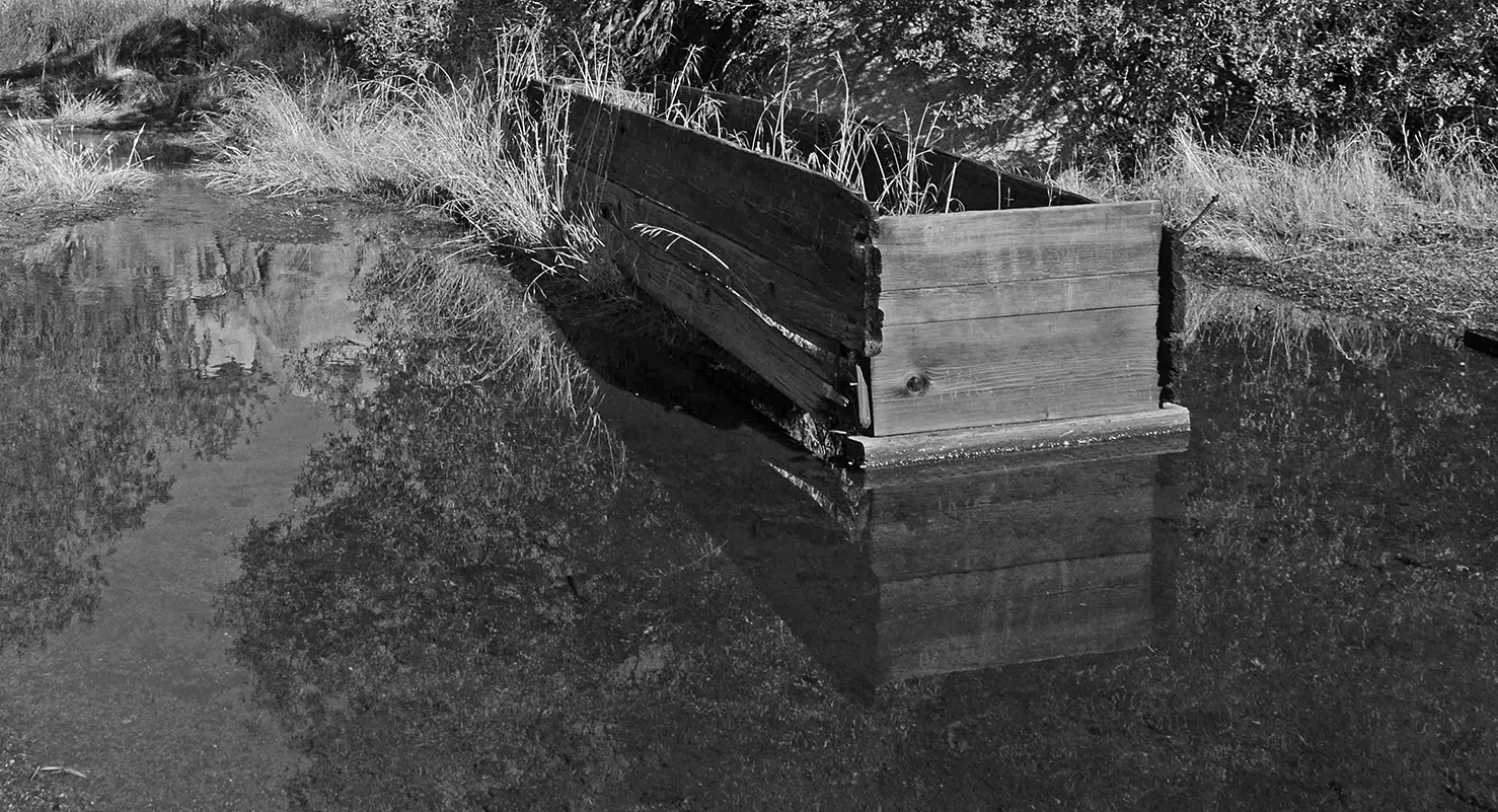 Joshua Tree National Park - Water Trough - Barker Dam.jpg