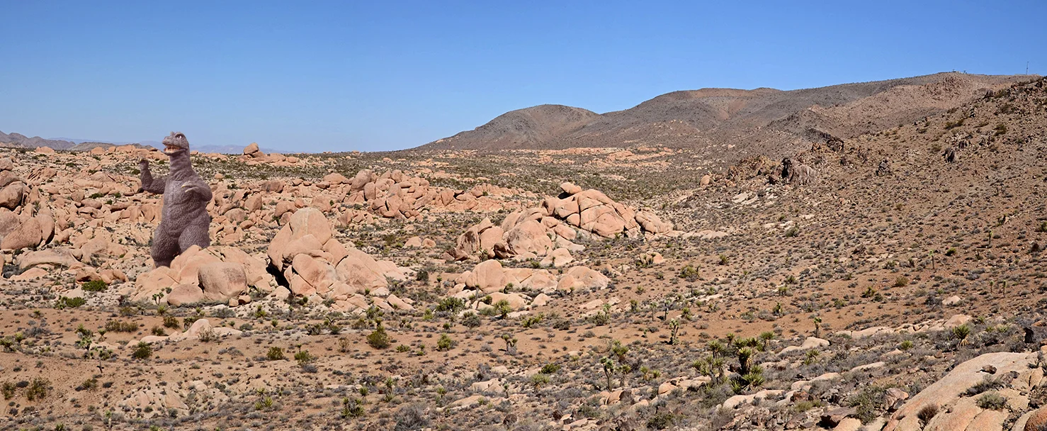White Tank Area - Joahua Tree National Park 07.jpg