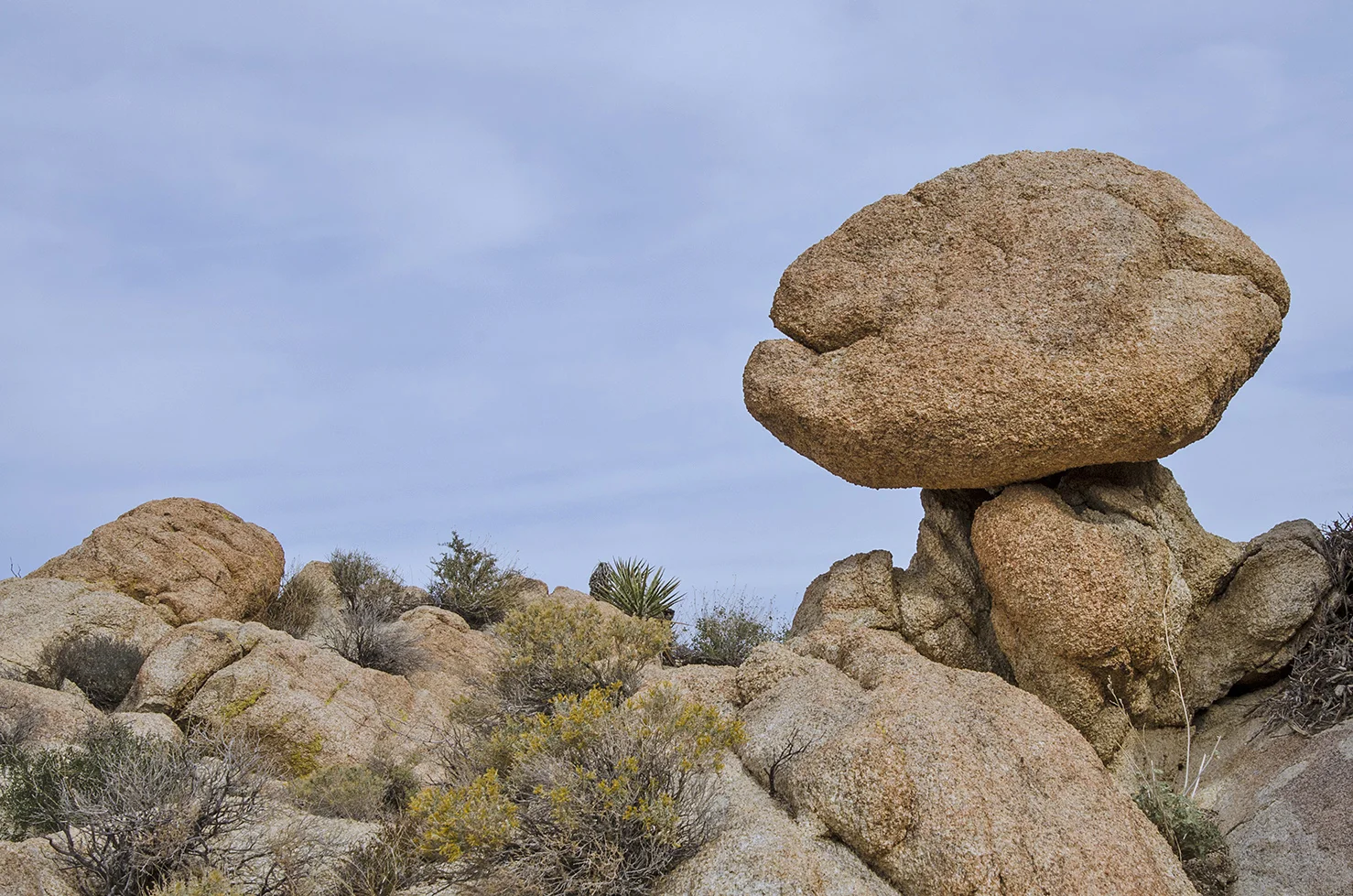 Joshua Tree NP - Stirrup Tank Area 06 Dino Head Rock.jpg