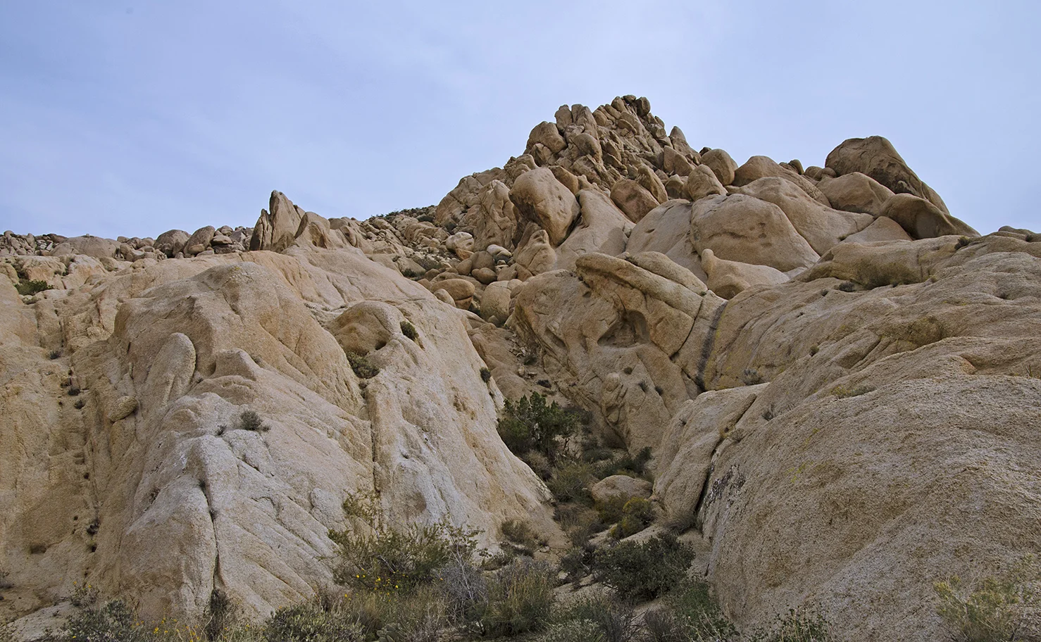 Joshua Tree NP - Stirrup Tank Area 09 Rocky Canyon.jpg