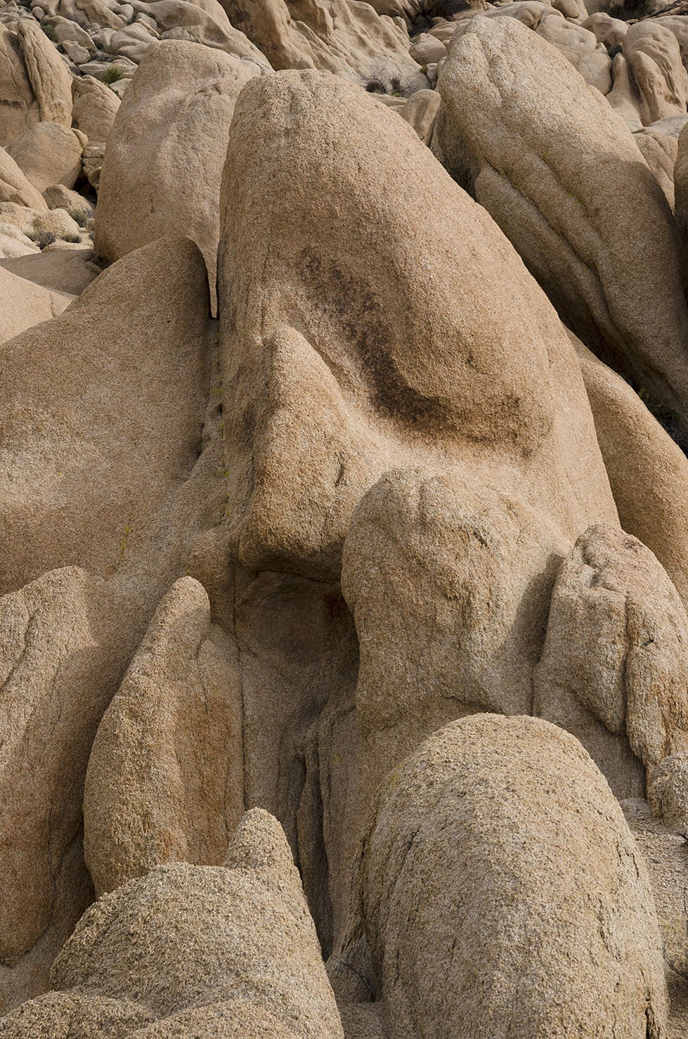 Joshua Tree NP - Stirrup Tank Area 12 The Scream.jpg