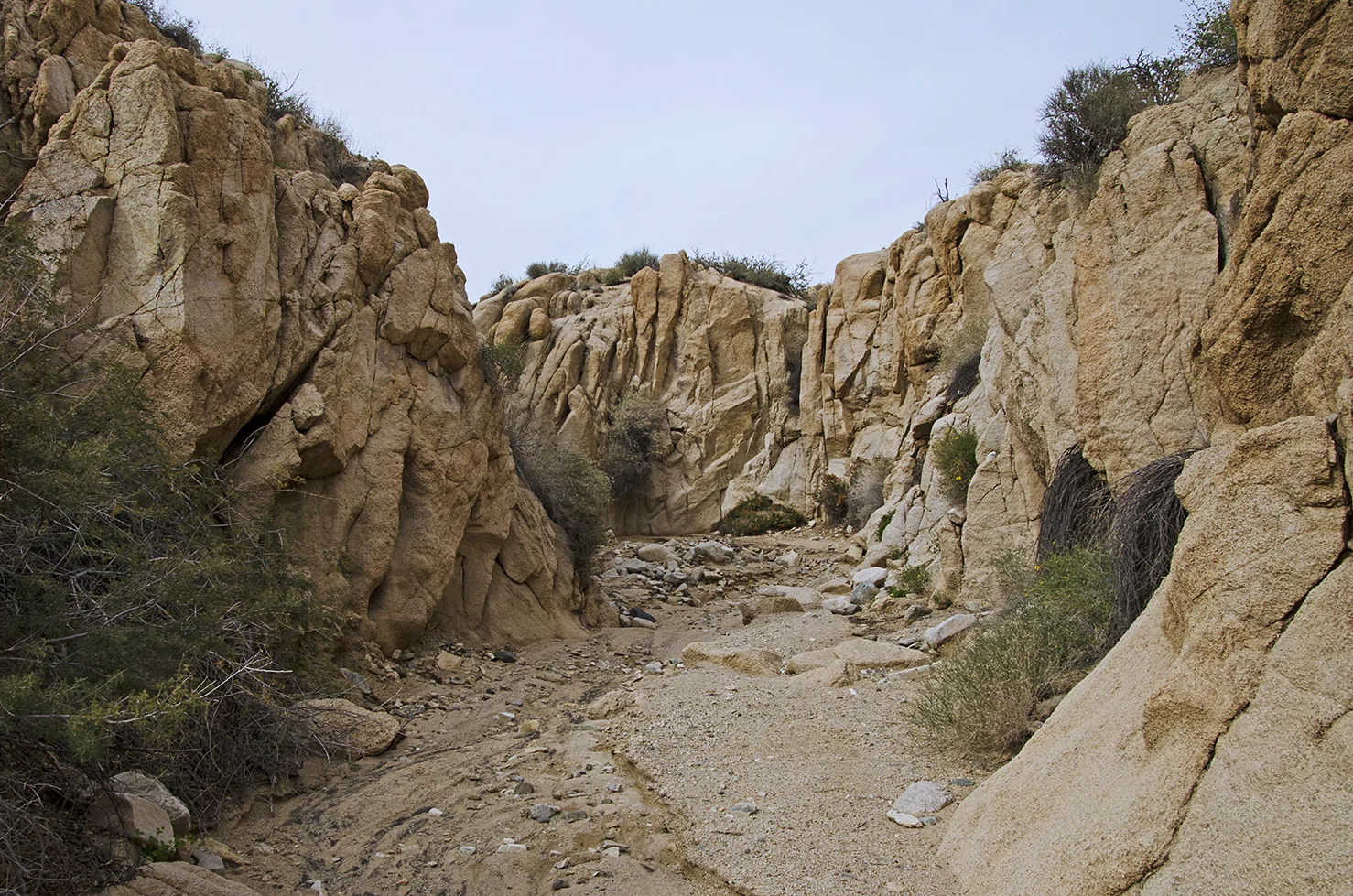 Joshua Tree NP - Stirrup Tank Area 14 Canyon 5.jpg