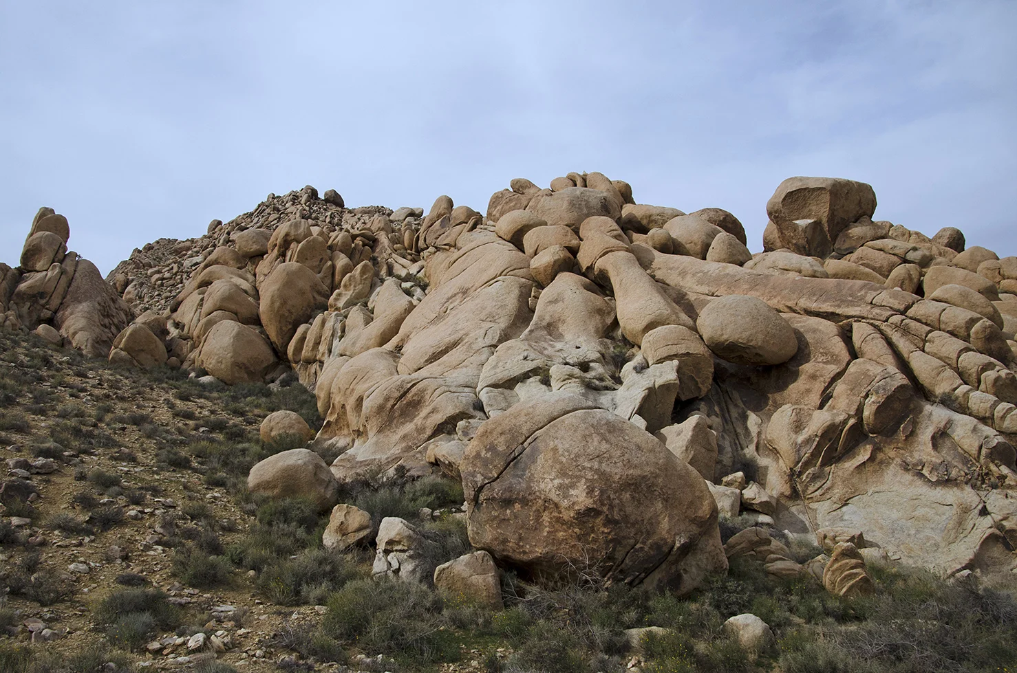 Joshua Tree NP - Stirrup Tank Area 17 Field of Bones.jpg