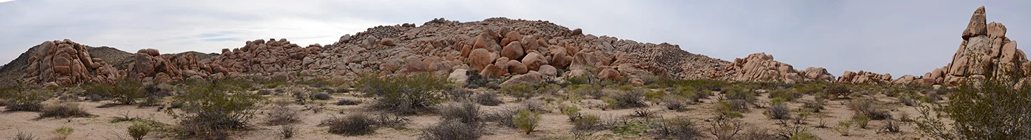 Joshua Tree NP - Stirrup Tank Area 19 Stirrup Rock Pano Small.jpg