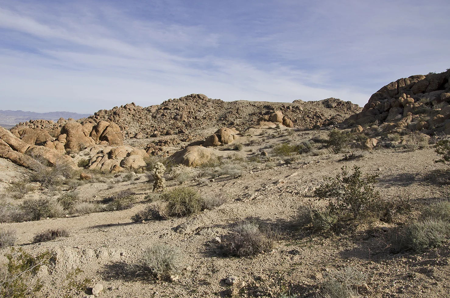 Fortynine Palms Oasis Joshua Tree NP 04.jpg