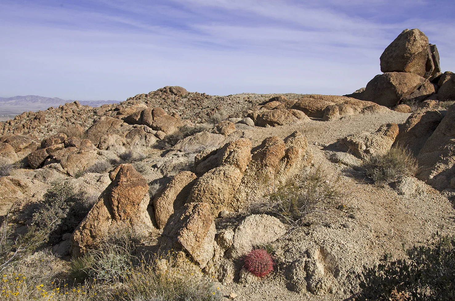 Fortynine Palms Oasis Joshua Tree NP 05.jpg