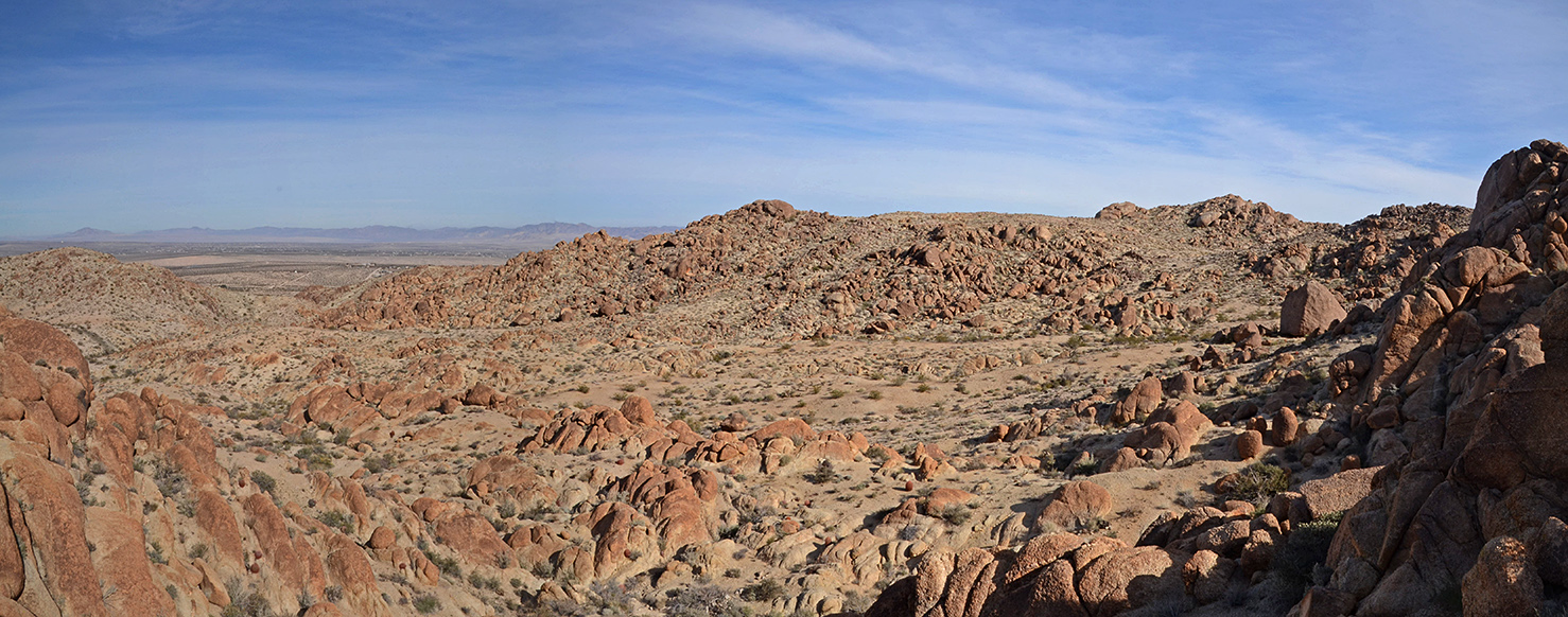 Fortynine Palms Oasis Joshua Tree NP 06.jpg