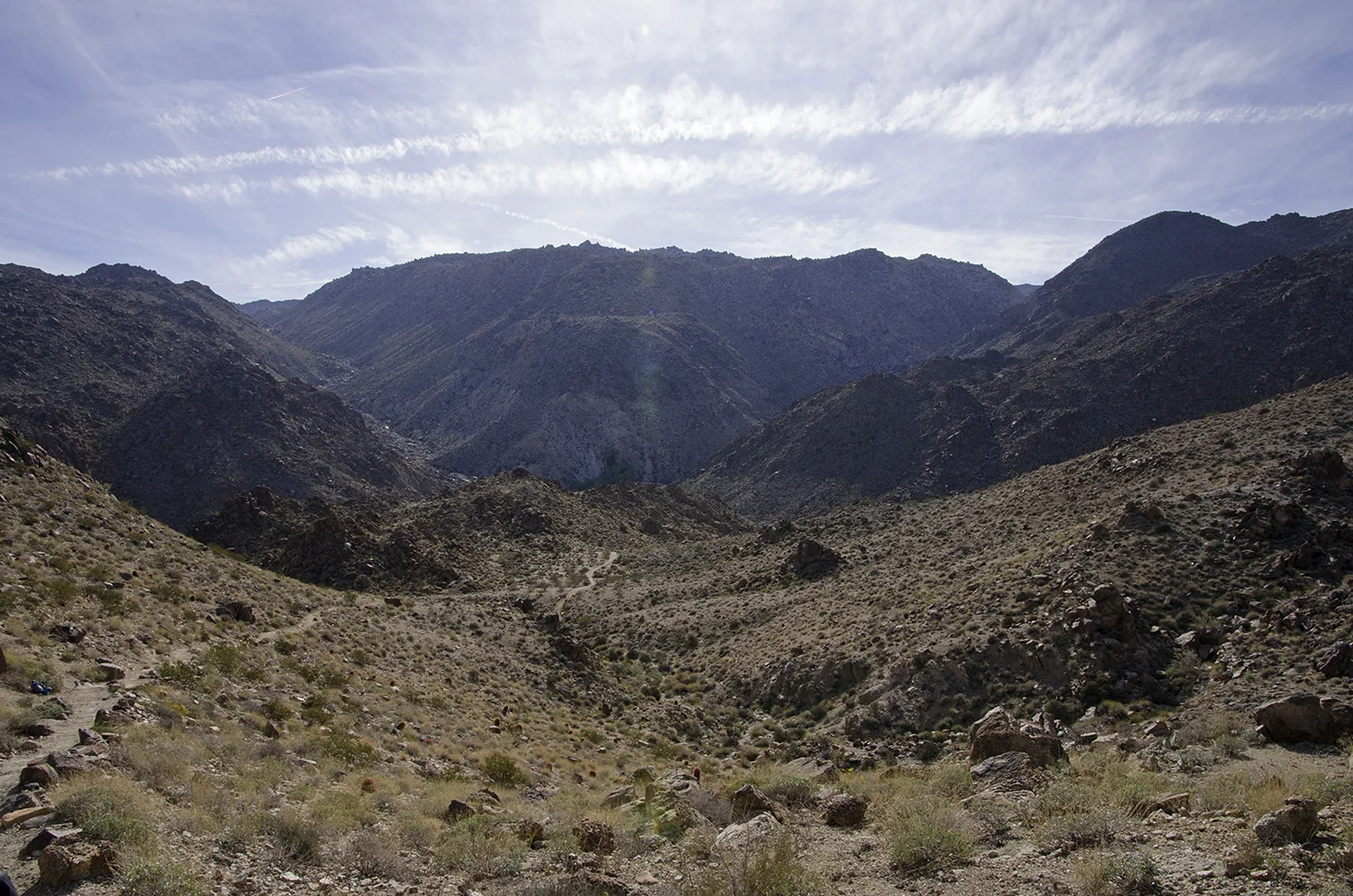 Fortynine Palms Oasis Joshua Tree NP 13.jpg