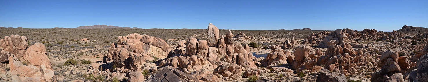 Surprise Tank - Joshua Tree NP - 08.jpg