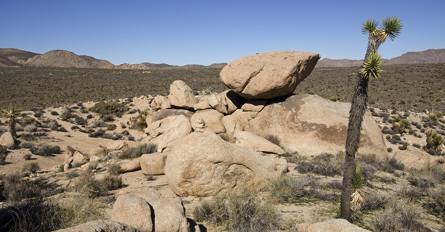 Surprise Tank - Joshua Tree NP - 10.jpg