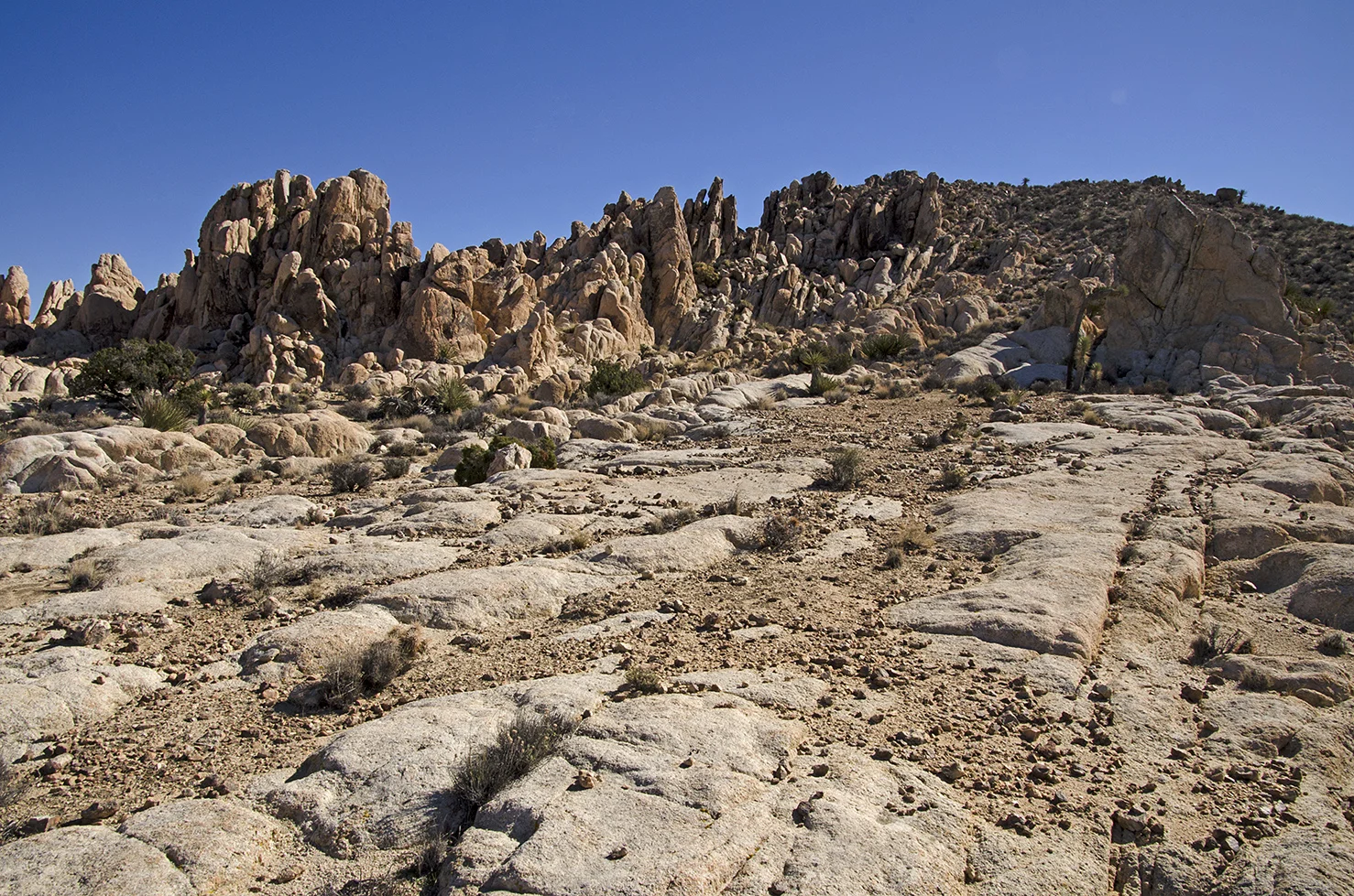 Surprise Tank - Joshua Tree NP - 14.jpg