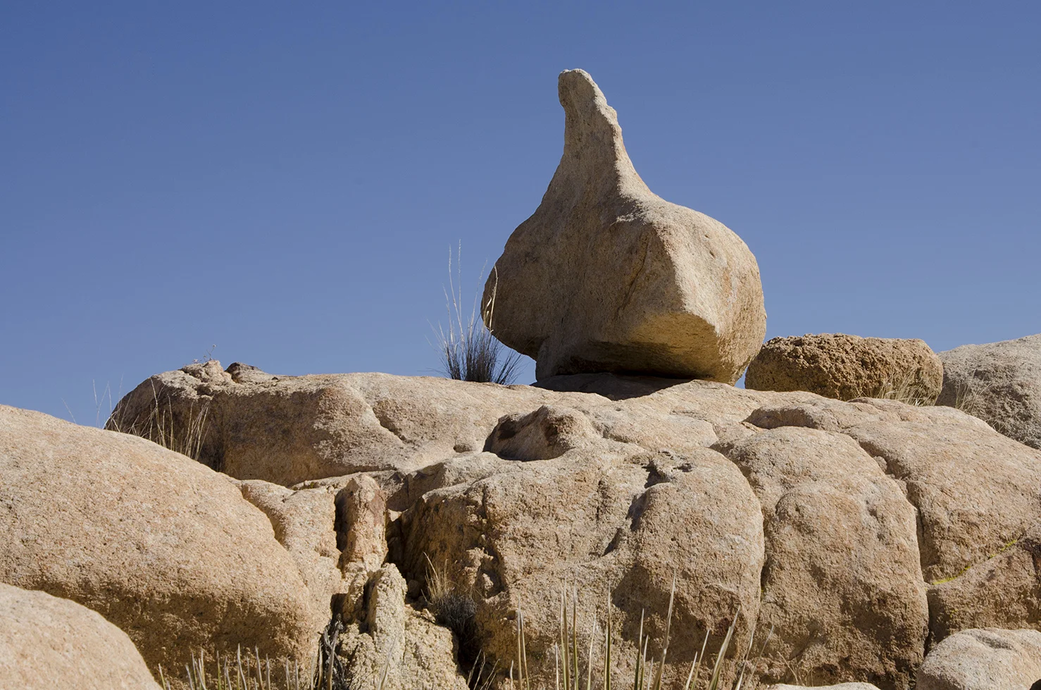 Surprise Tank - Joshua Tree NP - 16.jpg