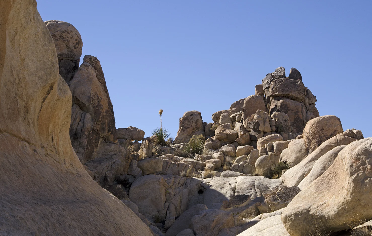Surprise Tank - Joshua Tree NP - 22.jpg