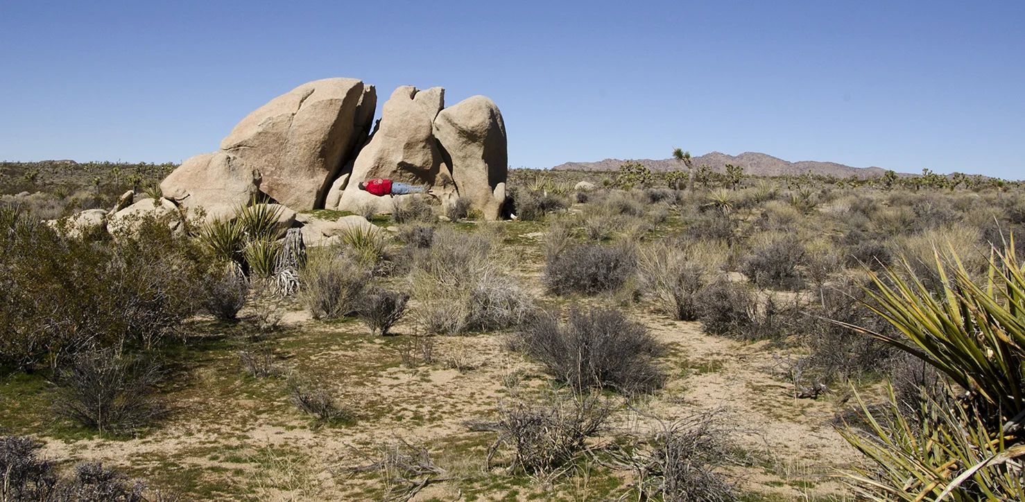 Surprise Tank - Joshua Tree NP - 23.jpg