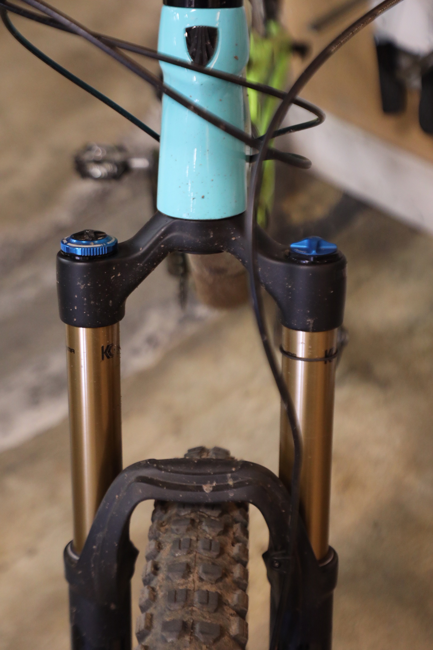 A healthy, happy looking front fork.
